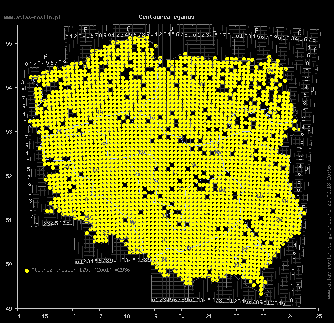wystepowanie - Centaurea cyanus (chaber bławatek)