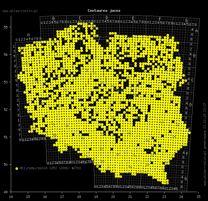 wystepowanie - Centaurea jacea (chaber łąkowy)