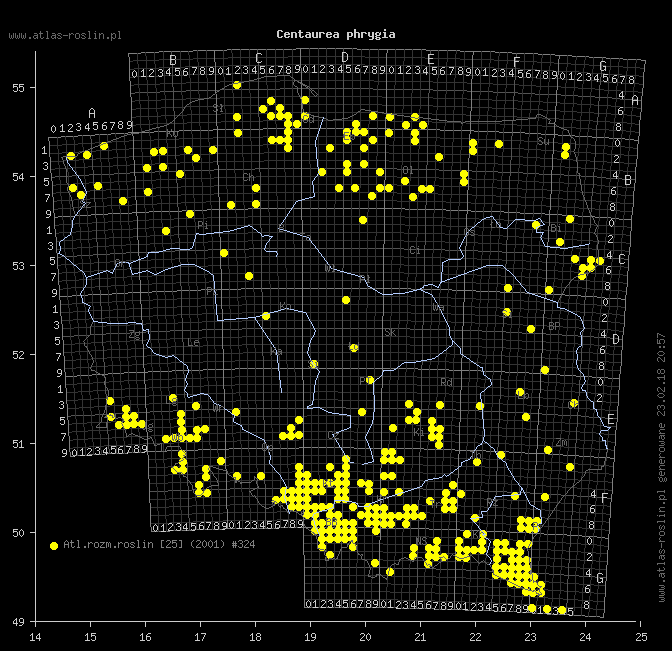 wystepowanie - Centaurea phrygia (chaber austriacki)