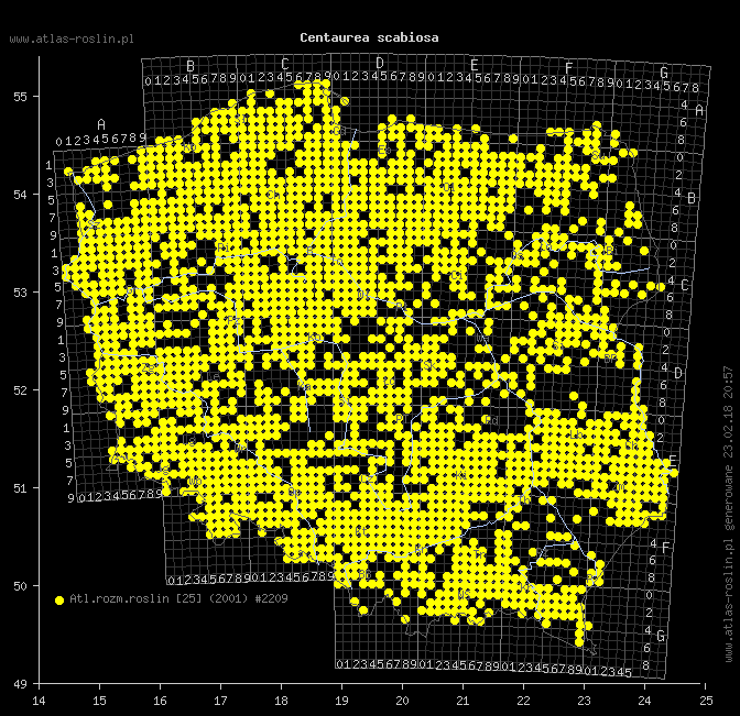 wystepowanie - Centaurea scabiosa (chaber driakiewnik)