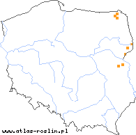 wystepowanie - Centaurea micranthos (chaber drobnokoszyczkowy)