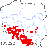 wystepowanie - Centaurea oxylepis (chaber ostrołuskowy)