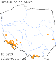 wystepowanie - Cirsium helenioides (ostrożeń dwubarwny)