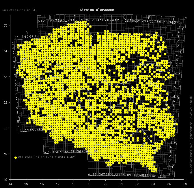 wystepowanie - Cirsium oleraceum (ostrożeń warzywny)