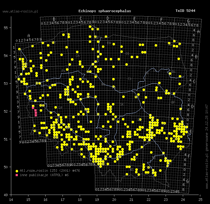 wystepowanie - Echinops sphaerocephalus (przegorzan kulisty)