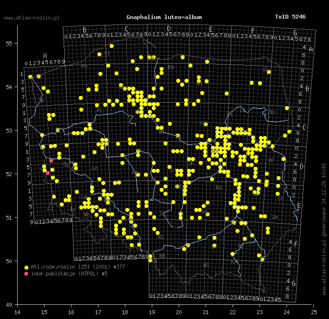 wystepowanie - Gnaphalium luteo-album (szarota żółtobiała)