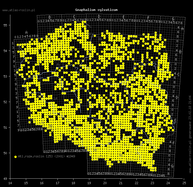 wystepowanie - Gnaphalium sylvaticum (szarota leśna)