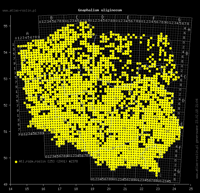 wystepowanie - Gnaphalium uliginosum (szarota błotna)