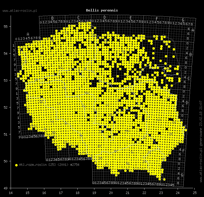 wystepowanie - Bellis perennis (stokrotka pospolita)