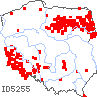 wystepowanie - Arnica montana (arnika górska)