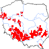 wystepowanie - Achillea collina (krwawnik pagórkowy)