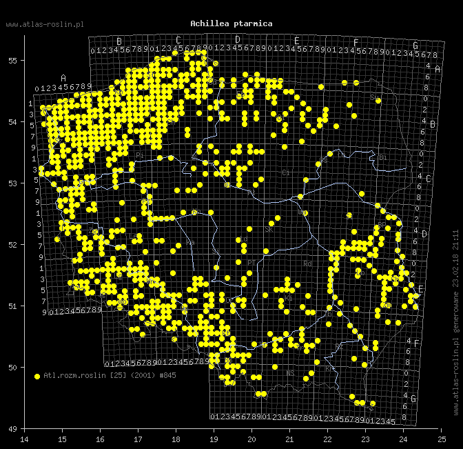 wystepowanie - Achillea ptarmica (krwawnik kichawiec)