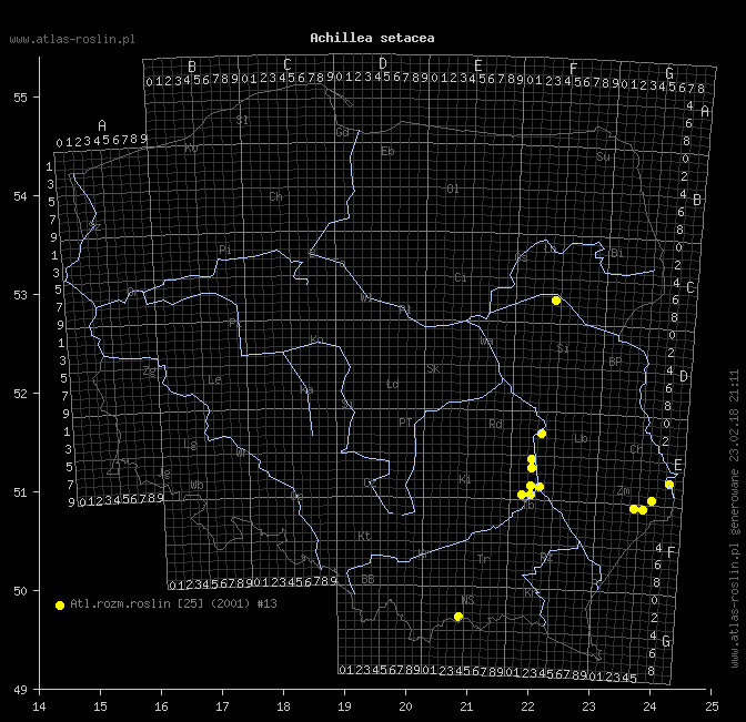 wystepowanie - Achillea setacea (krwawnik szczecinkolistny)