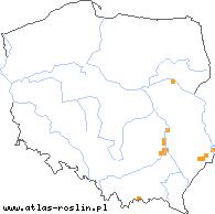 wystepowanie - Achillea setacea (krwawnik szczecinkolistny)