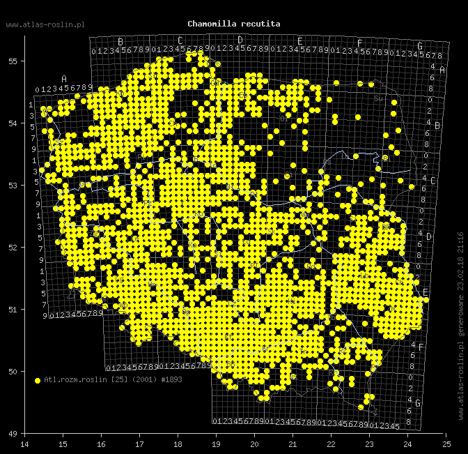 wystepowanie - Chamomilla recutita (rumianek pospolity)