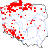 wystepowanie - Glebionis segetum (złocień polny)