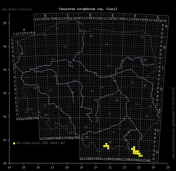 wystepowanie - Tanacetum corymbosum ssp. clusii (wrotycz baldachogroniasty Kluzjusza)