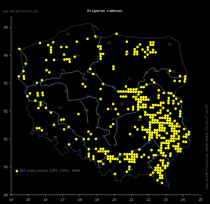 wystepowanie - Erigeron ramosus (przymiotno gałęziste)