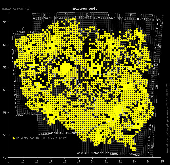 wystepowanie - Erigeron acris (przymiotno ostre)