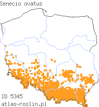 wystepowanie - Senecio ovatus (starzec jajowaty)