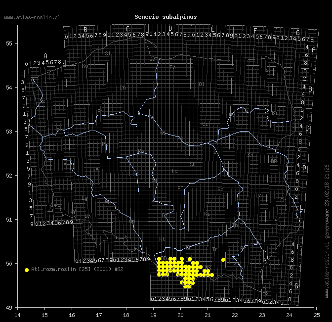 wystepowanie - Senecio subalpinus (starzec górski)