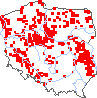 wystepowanie - Senecio congestus (starzec błotny)