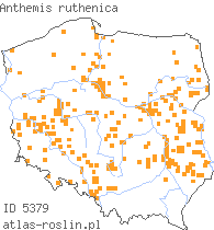 wystepowanie - Anthemis ruthenica (rumian ruski)