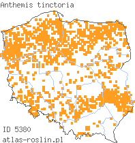 wystepowanie - Anthemis tinctoria (rumian żółty)