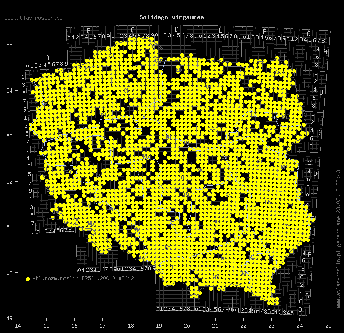 wystepowanie - Solidago virgaurea (nawłoć pospolita)