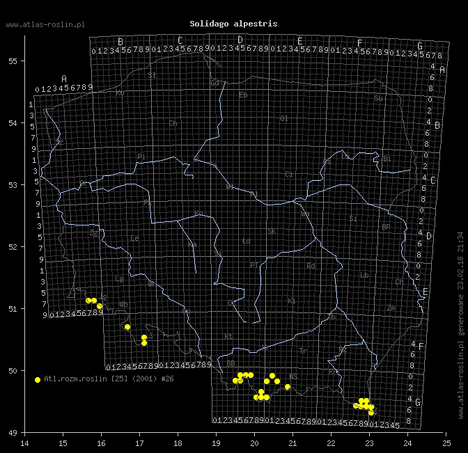 wystepowanie - Solidago alpestris (nawłoć alpejska)