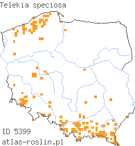 wystepowanie - Telekia speciosa (smotrawa okazała)