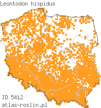 wystepowanie - Leontodon hispidus (brodawnik zwyczajny)