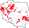 wystepowanie - Scorzonera purpurea (wężymord stepowy)