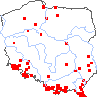 wystepowanie - Hieracium aurantiacum (jastrzębiec pomarańczowy)