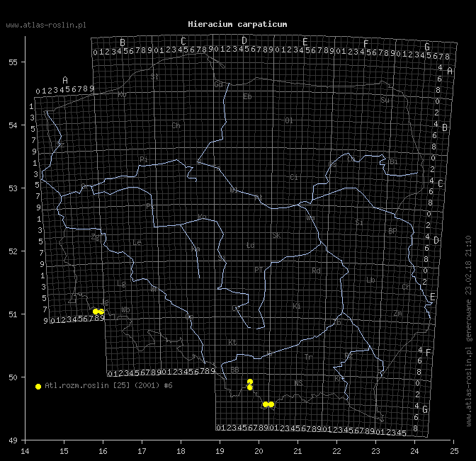 wystepowanie - Hieracium carpaticum (jastrzębiec karpacki)