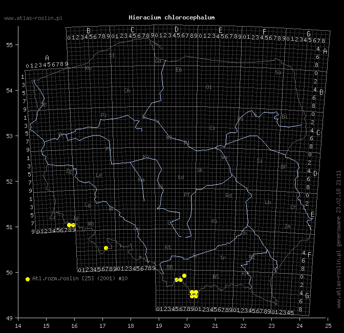 wystepowanie - Hieracium chlorocephalum (jastrzębiec zielonokoszyczkowy)