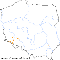 wystepowanie - Hieracium dubium (jastrzębiec wątpliwy)