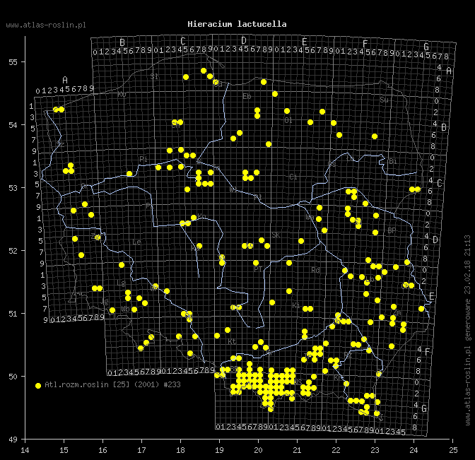wystepowanie - Hieracium lactucella (jastrzębiec gronkowy)