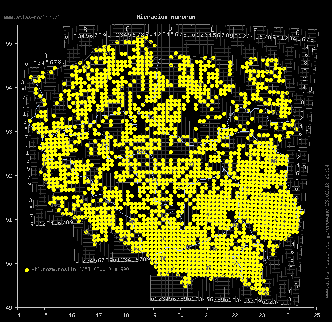 wystepowanie - Hieracium murorum (jastrzębiec leśny)