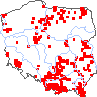 wystepowanie - Pilosella piloselloides (kosmaczek wysoki)