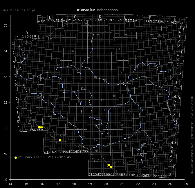 wystepowanie - Hieracium rohacsense (jastrzębiec rohacki)
