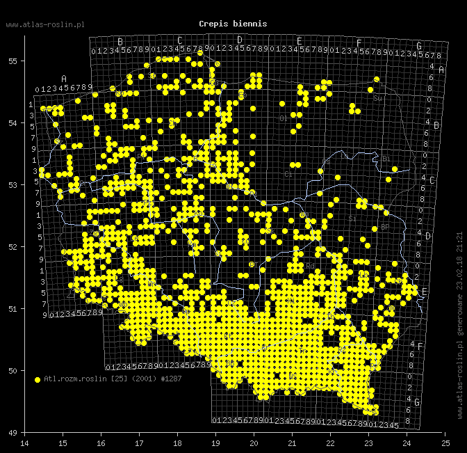 wystepowanie - Crepis biennis (pępawa dwuletnia)