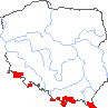 wystepowanie - Crepis conyzifolia (pępawa wielkokwiatowa)