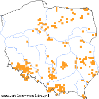 wystepowanie - Crepis mollis s.str. (pępawa miękka)
