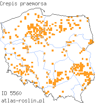 wystepowanie - Crepis praemorsa (pępawa różyczkolistna)