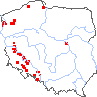 wystepowanie - Picris echioides (goryczel żmijowcowy)