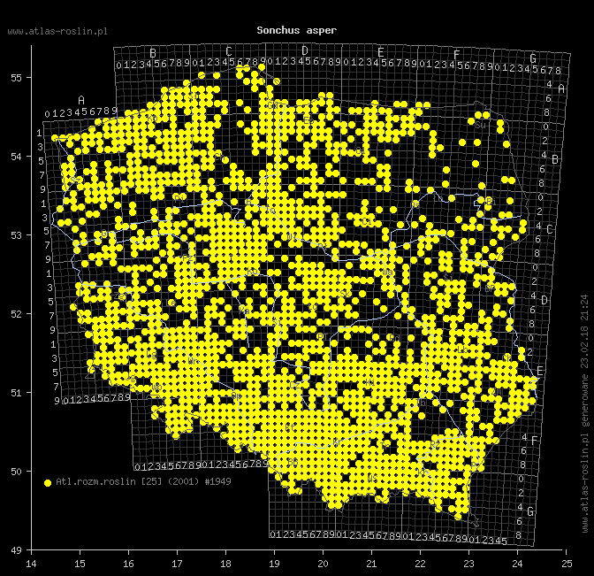 wystepowanie - Sonchus asper (mlecz kolczasty)