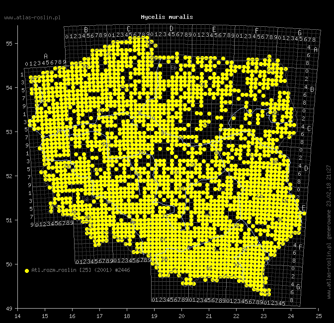 wystepowanie - Mycelis muralis (sałatnik leśny)