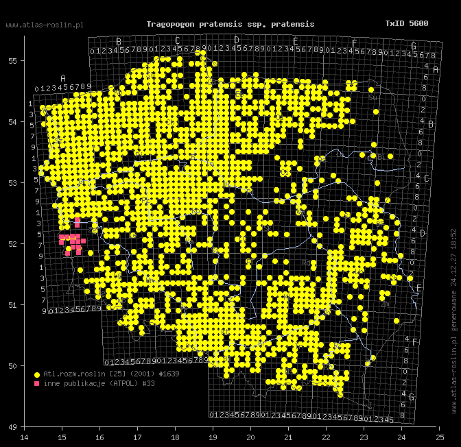wystepowanie - Tragopogon pratensis ssp. pratensis (kozibród łąkowy typowy)