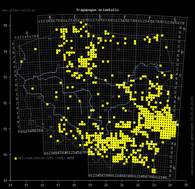 wystepowanie - Tragopogon orientalis (kozibród wschodni)